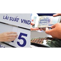 Mức lãi suất cho vay ngắn hạn tối đa bằng đồng Việt Nam từ 19/6/2024