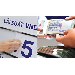 Mức lãi suất cho vay ngắn hạn tối đa bằng đồng Việt Nam từ 19/6/2024