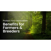 Protect Your Innovation: Benefits for Farmers & Breeders