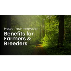 Protect Your Innovation: Benefits for Farmers & Breeders