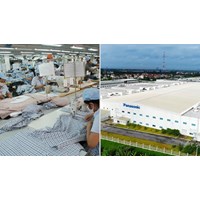 Số ngày doanh nghiệp ưu tiên bị tạm đình chỉ áp dụng chế độ ưu tiên