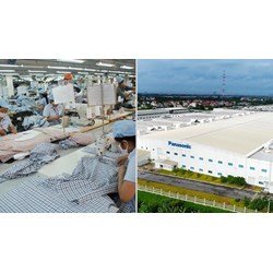 Số ngày doanh nghiệp ưu tiên bị tạm đình chỉ áp dụng chế độ ưu tiên