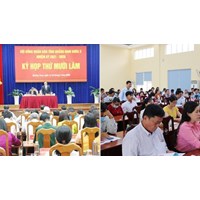 Chế độ làm việc và cuộc họp của Hội đồng thẩm định bồi dưỡng, cán bộ, công chức, viên chức