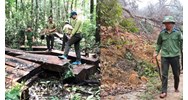 Những công việc của Lực lượng chuyên trách bảo vệ rừng