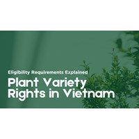 Vietnam Plant Variety Rights: Eligibility Requirements Explained