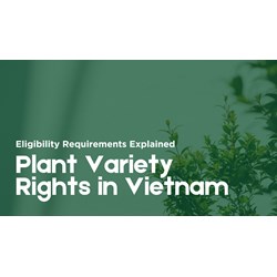 Vietnam Plant Variety Rights: Eligibility Requirements Explained