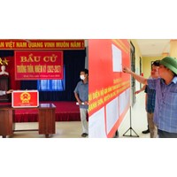 Khi nào tổ chức phát phiếu lấy ý kiến hộ gia đình bầu tổ trưởng tổ dân phố?