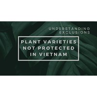 Plant Varieties Not Protected in Vietnam: Understanding Exclusions
