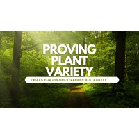 Proving Plant Variety: Trials for Distinctiveness & Stability