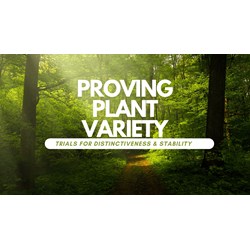 Proving Plant Variety: Trials for Distinctiveness & Stability