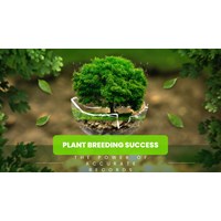 Plant Breeding Success: The Power of Accurate Records