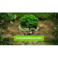 Plant Breeding Success: The Power of Accurate Records
