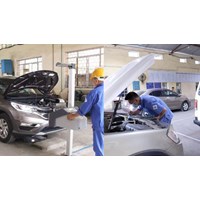 Ô tô được miễn kiểm định lần đầu trong trường hợp nào?