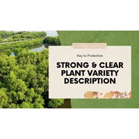 Strong & Clear Plant Variety Description: Key to Protection
