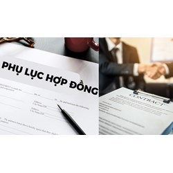 Được sửa đổi địa điểm làm việc bằng cách lập phụ lục hợp đồng không?