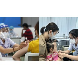 Quy định về việc cung ứng vắc xin cho hoạt động tiêm chủng mở rộng