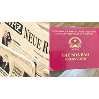 Nhóm người được xét cấp thẻ nhà báo bao gồm những nhóm người nào?