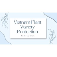 Vietnam Plant Variety Protection: Timeline Expectations