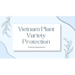 Vietnam Plant Variety Protection: Timeline Expectations