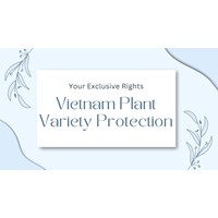Plant Variety Protection in Vietnam: Your Exclusive Rights