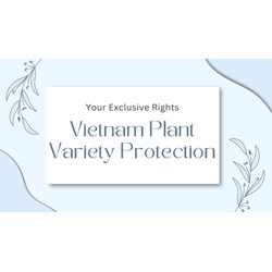 Plant Variety Protection in Vietnam: Your Exclusive Rights