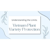 Plant Variety Rights in Vietnam: Understanding the Limits