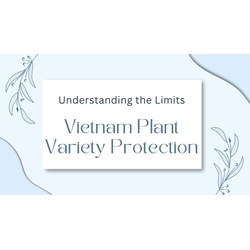 Plant Variety Rights in Vietnam: Understanding the Limits