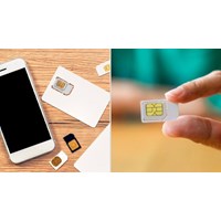 Hướng dẫn cách tra cứu số điện thoại chính chủ đơn giản nhất?
