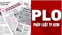 Số điện thoại, đường dây nóng của báo pháp luật là gì?