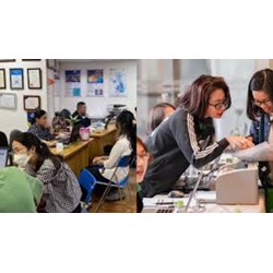 Cách tra cứu giấy phép tư vấn du học đơn giản, chi tiết?