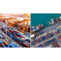 Tường hợp đình chỉ, thu hồi Mã số tân trang theo Hiệp định EVFTA và UKVFTA