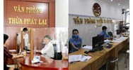 Người tập sự hành nghề thừa phát lại bị xử lý hành chính có bị chấm dứt tập sự không?