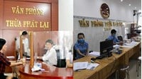 Người tập sự hành nghề thừa phát lại bị xử lý hành chính có bị chấm dứt tập sự không?