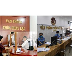 Người tập sự hành nghề thừa phát lại bị xử lý hành chính có bị chấm dứt tập sự không?