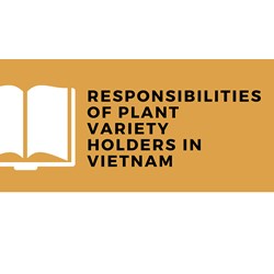 Responsibilities of Plant Variety Holders in Vietnam