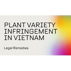 Plant Variety Infringement in Vietnam: Legal Remedies