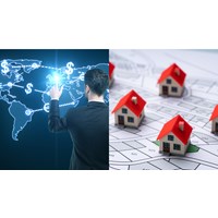 Chuyển nhượng đất rừng trái phép có bị đi tù không?