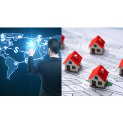 Chuyển nhượng đất rừng trái phép có bị đi tù không?