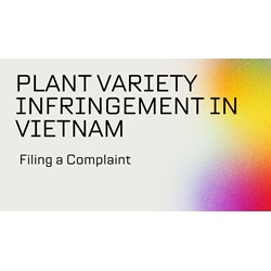 Plant Variety Infringement in Vietnam: Filing a Complaint