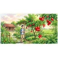 Phân tích văn bản Bồng chanh đỏ chọn lọc hay nhất