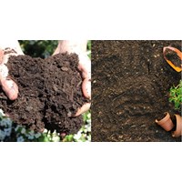 Quy định về phân loại đất tổng quát theo TCVN 8217:2009 ra sao?