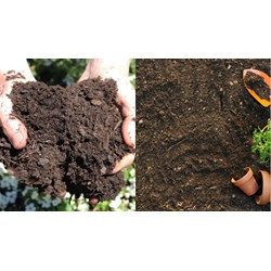 Quy định về phân loại đất tổng quát theo TCVN 8217:2009 ra sao?