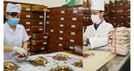 Phạm vi hành nghề khám bệnh chữa bệnh của bác sỹ y học cổ truyền