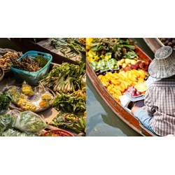 Thuyết minh về chợ nổi miền Tây Nam Bộ chọn lọc hay nhất