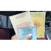Mẫu lý lịch chuyên môn sử dụng để đề nghị cấp lại chứng chỉ đăng kiểm viên sau khi bị thu hồi