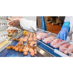 Kinh doanh nông sản cần tuân thủ các điều kiện gì theo quy định?