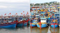 Cảng cá có quyền chỉ định cho tàu cá nước ngoài cập cảng không?