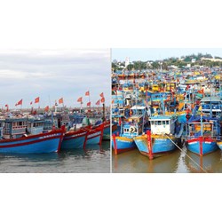 Cảng cá có quyền chỉ định cho tàu cá nước ngoài cập cảng không?