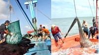 Tàu đánh bắt nguồn lợi thủy sản được kiêm thêm nghề phụ lưới kéo không?