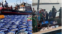 Khi nào tàu đánh bắt nguồn lợi thủy sản bị thu hồi giấy phép khai thác thủy sản?